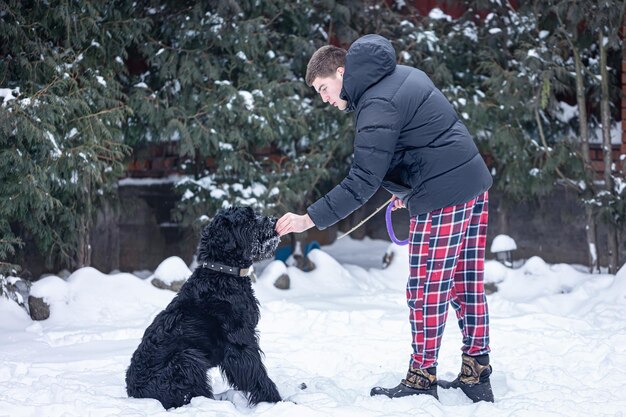 Собака ризеншнауцера на прогулке с хозяином в зимнем лесу