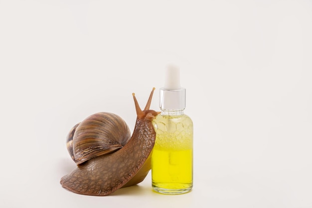 Lumaca gigante achatina e cosmetici. cosmetici naturali biologici. cosmetici per la cura della pelle con muco di lumaca