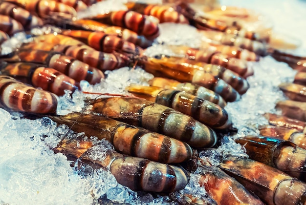 Giant tiger prawn or Asian tiger shrimp