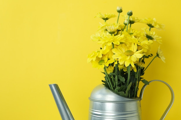 Gieter met chrysanten op gele achtergrond.