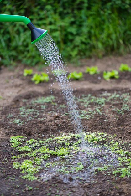 Gieter met water druppels