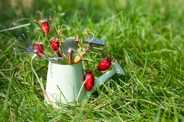 Gieter, wilde aardbeien en tuingereedschap