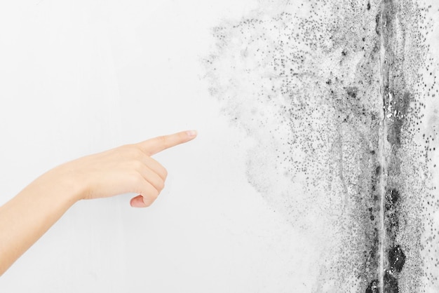 Gietvorm. Aspergillus. De vinger van de hand wijst naar de zwarte schimmel op de witte muur.