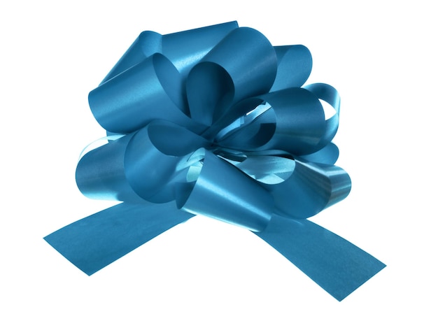 Photo gift bow isolated on white background