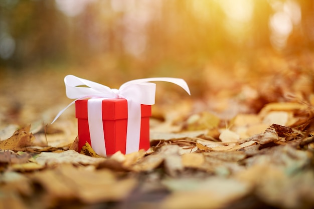 Gift box in autumn leaves