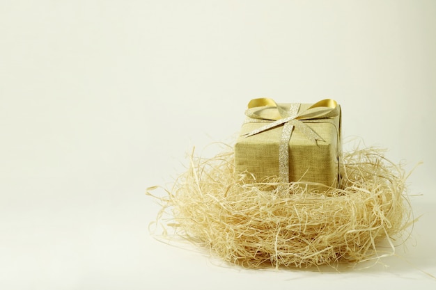 A gift box in a bird's nest on white .                               