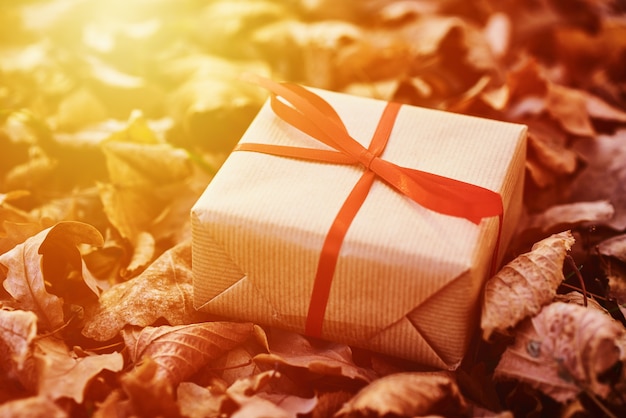 Gift box on falling autumn leaves