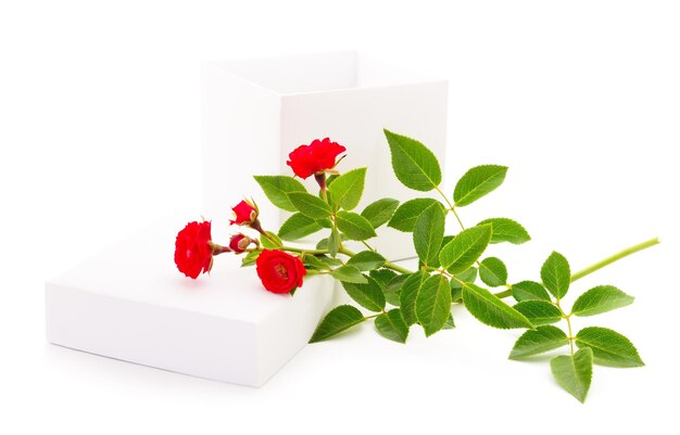 Gift box and rose flowers