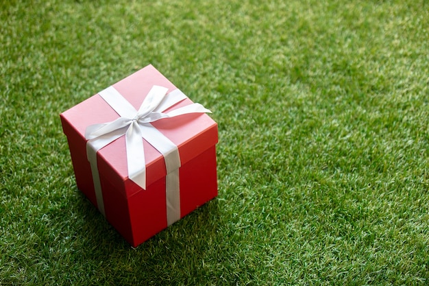 Gift box with a bow on green grass. POV