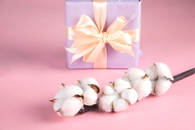 Gift box with cotton branch