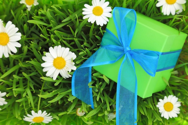 Gift box with ribbon on grass with daisy flowers