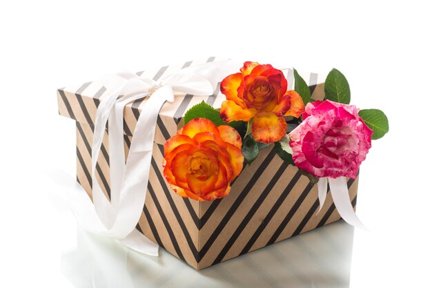 Photo gift box with ribbons and beautiful roses inside isolated on a white background