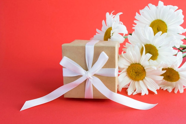 Gift box with tied white bow and chamomile on the red background Closeup Copy space