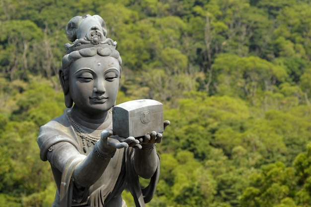 Photo gift for buddha