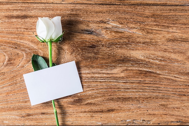 Gift roses and blank paper for valentine day holiday