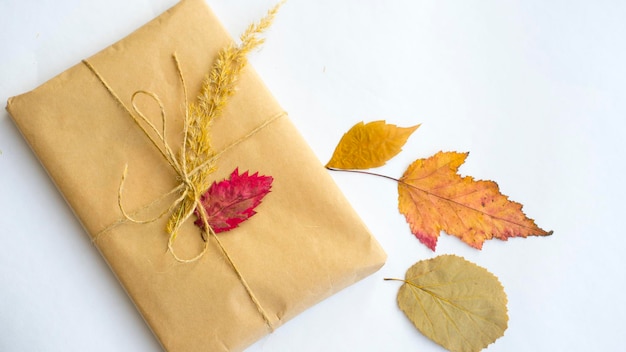 Gift wrapped in craft paper, autumn leaves