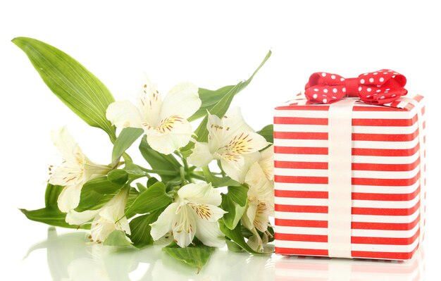 Confezione regalo e fiori isolati su bianco