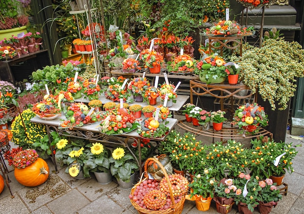 自然の贈り物秋の静物秋の果物野菜とベリー