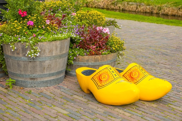 Gigantische hollandse klompen en tonnen bloemen