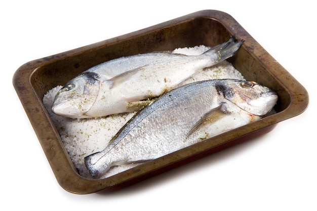 Gilt head sea bream baked in sea salt