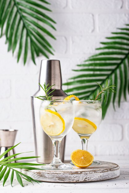 Gin tonic cocktail with lemon