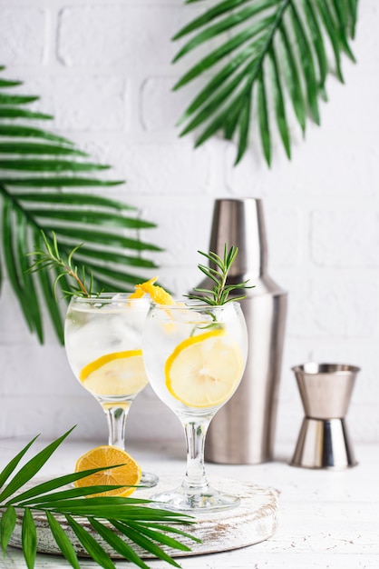 Gin tonic cocktail with lemon