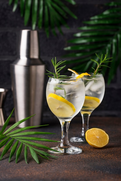 Gin tonic cocktail with lemon