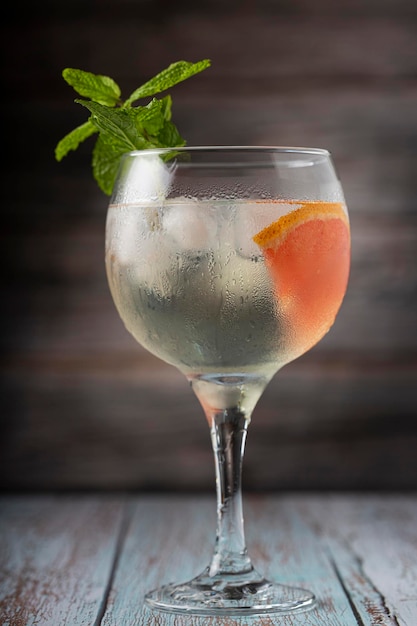 Gin Tonic garnished with grapefruit and mint