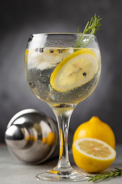 Gin Tonic garnished with lemon and rosemary