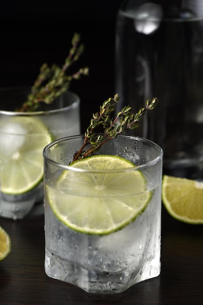 Gin and tonic with a slice of lime and sprigs of thyme