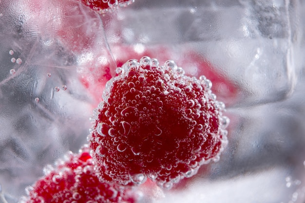 Gin tonische cocktail met frambozen en ijs macro close-up