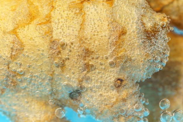 Ginger close up in the water underwater macro selective focus A bubble of juice