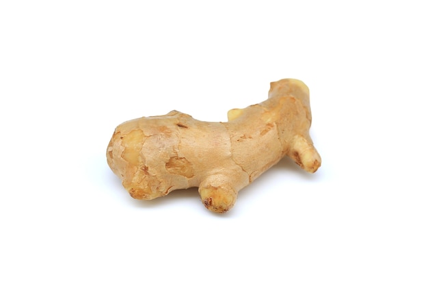 Ginger rhizome closeup on white