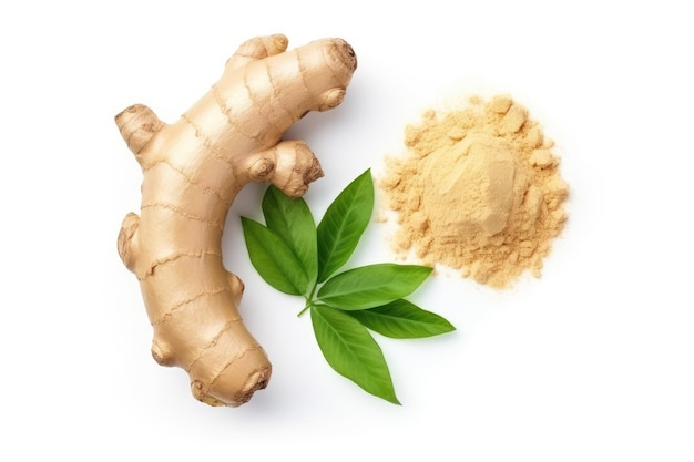 Ginger rhizome and powder on white background Top view Flat lay