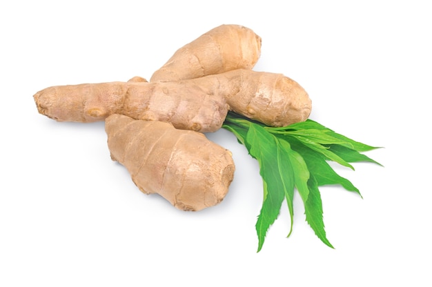 Photo ginger root isolated isolated on white