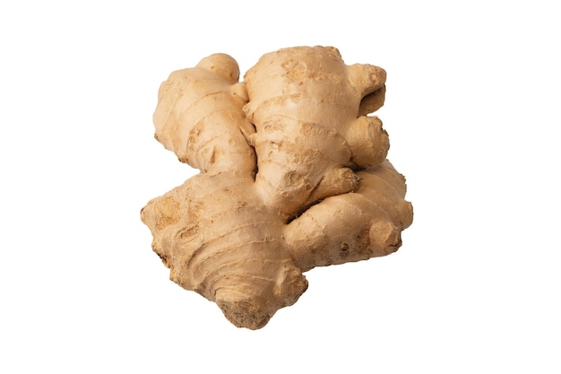 Ginger root isolated on white background