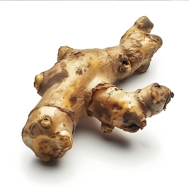 Photo ginger root vegetable knobby shape characterized by its brow isolated on white bg clean blank shoot