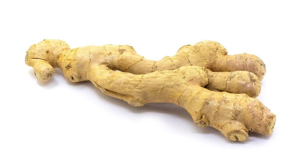 Ginger root on white isolated background Full depth of clarity