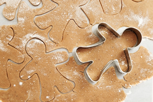 Gingerbread Cookie and cookie form