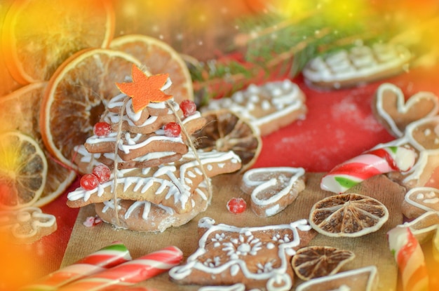 Gingerbread cookies dried oranges spices and Christmas lights