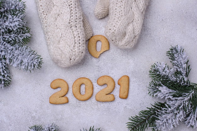 Biscotti di pan di zenzero di capodanno 2021