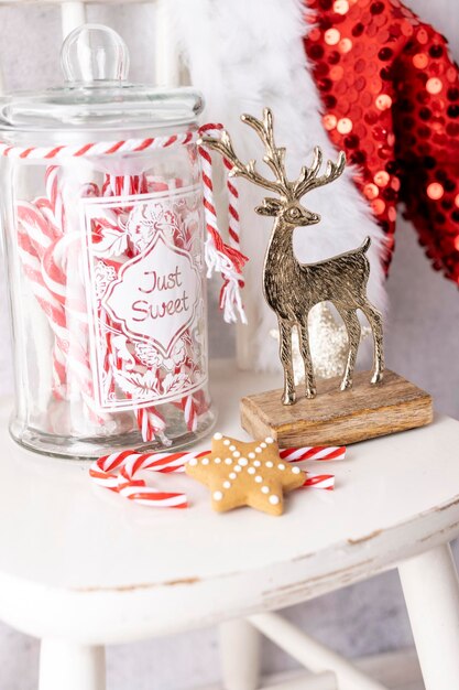 Gingerbread with mug of hot chocolate and candy cane