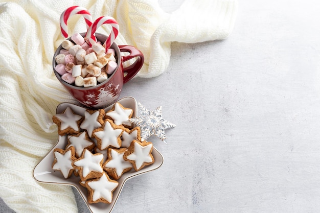 Gingerbread with mug of hot chocolate and christmas candy cane.