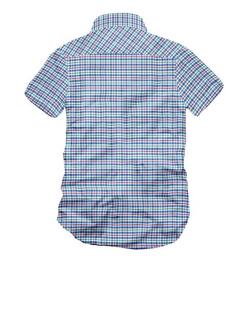 Gingham checks modern back view shirt