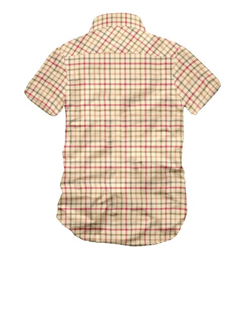 Gingham controleert modern achteruitzicht shirt