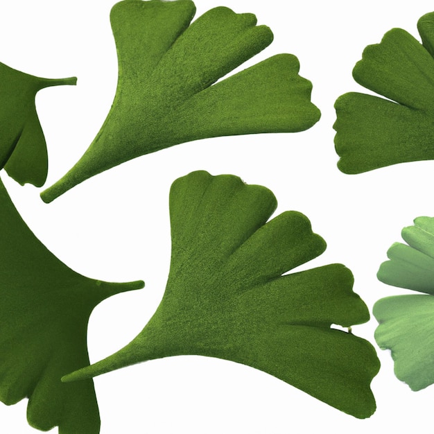 Foto foglie di ginkgo biloba 3d, natura