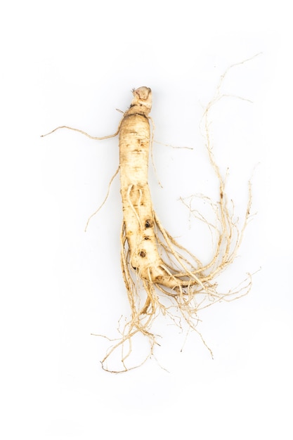 Ginseng geïsoleerd op een witte achtergrond