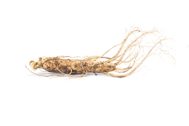 Foto ginseng isolato su sfondo bianco