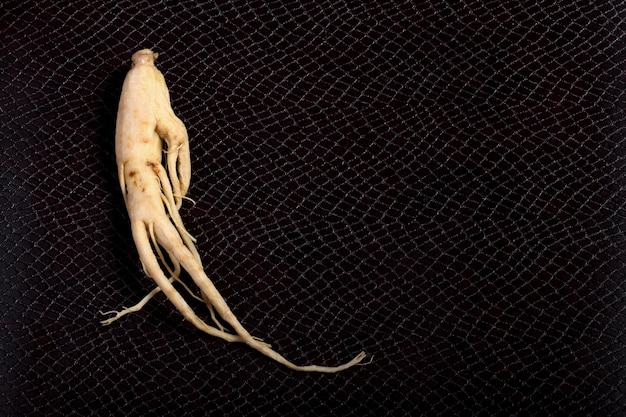 Photo ginseng root