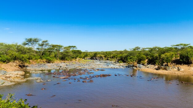 Бассейн Гиппо в саванне Серенгети, Танзания.